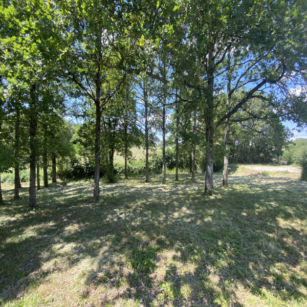Offres de vente Terrain Pocé-sur-Cisse 37530