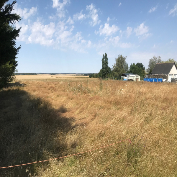 Offres de vente Terrain Saint-Nicolas-des-Motets 37110