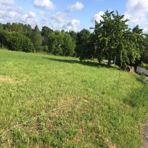 Offres de vente Terrain Neuillé-le-Lierre 37380