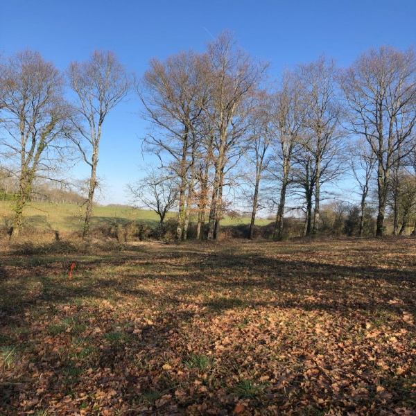 Offres de vente Terrain Pocé-sur-Cisse 37530