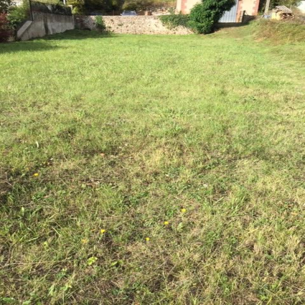 Offres de vente Terrain Reugny 37380