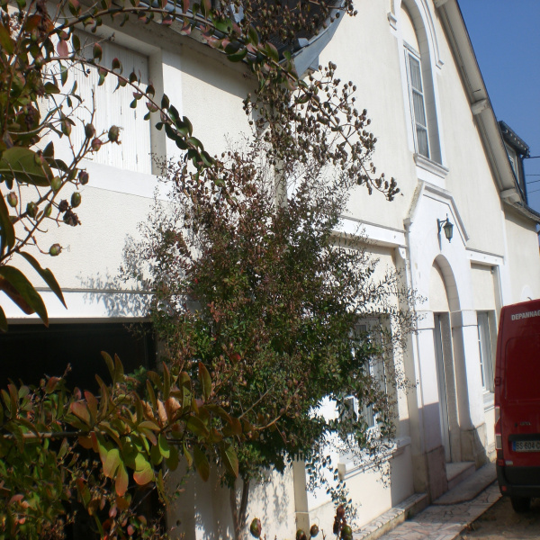Offres de vente Maison Vernou-sur-Brenne 37210